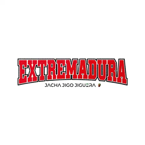 diseño zagal
